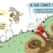 Monsieur chien cherche une maison